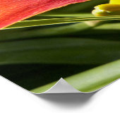 Oranje Daglelie Bloem Bloemfotografie Poster (Hoek)