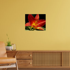 Oranje Daglelie Bloem Bloemfotografie Poster