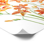 oranje daglelie waterverf poster (Hoek)