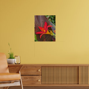 Oranje Dagleliebloesem en Plantblad Poster
