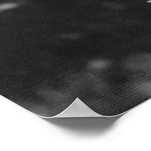 Oranje dagleliefje afbeelding poster (Hoek)