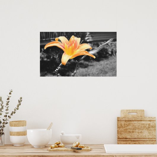 Oranje dagleliefje afbeelding poster (Keuken)