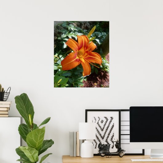 Oranje dagleliefoto-afdruk poster (Thuiskantoor)