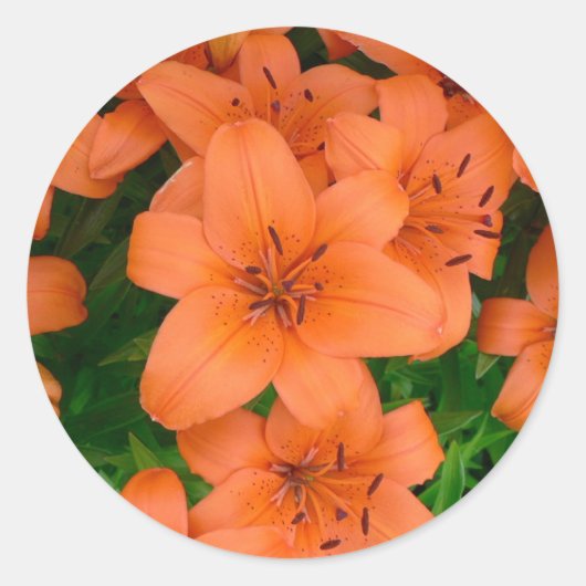 Oranje daglieden ronde sticker (Voorkant)