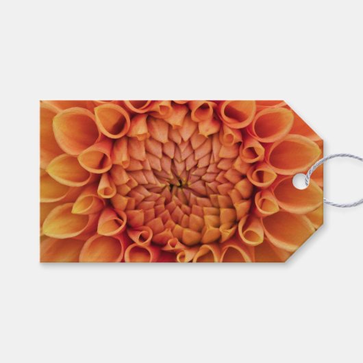 Oranje dahlia bloem in het midden cadeaulabel (Voorkant (Horizontaal))