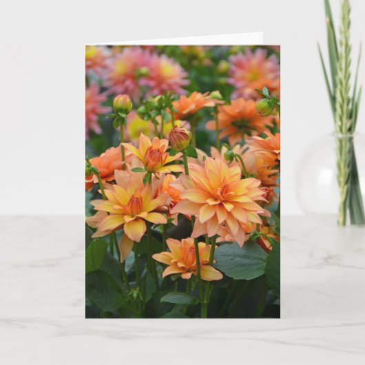 Oranje dahlia bloemen wenskaart kaart (Voorkant)