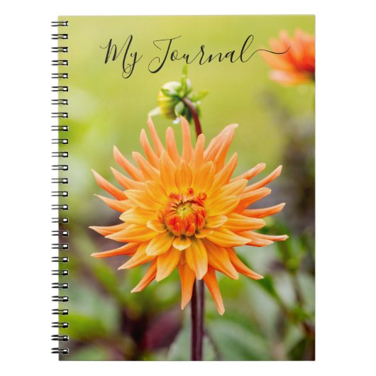 Oranje Dahlia Journal Notitieboek (Voorkant)