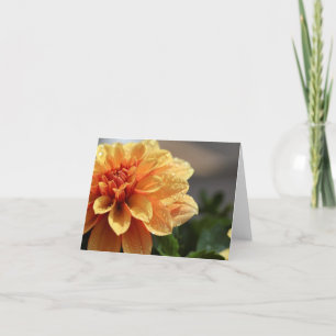 Oranje Dahlia Kaart