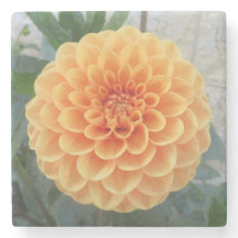 Oranje Dahlia Marble Stone Onderzetter