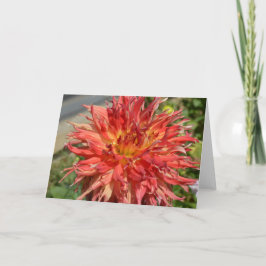 Oranje dahlia op een notitiekaart