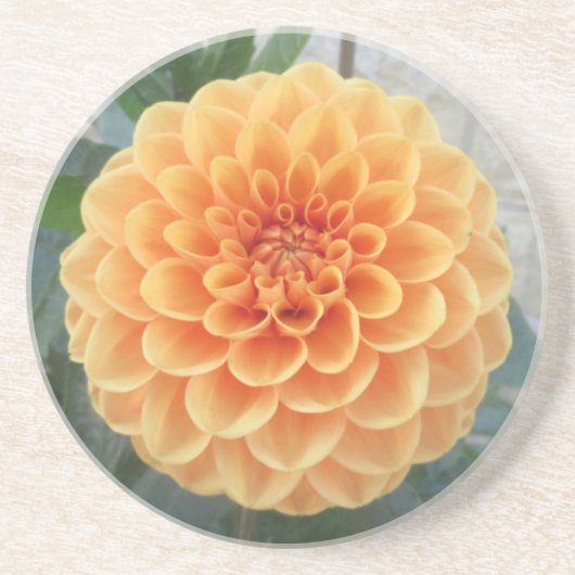 Oranje Dahlia Sandstone Onderzetter (Voorkant)