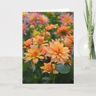 Oranje dahlia wenskaart kaart