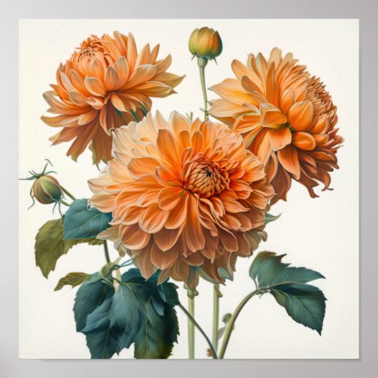 Oranje Dahlias Bloem Kunstprint Poster (Voorkant)