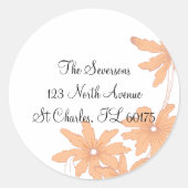 Oranje Daisies Return Address Round Stickers (Voorkant)
