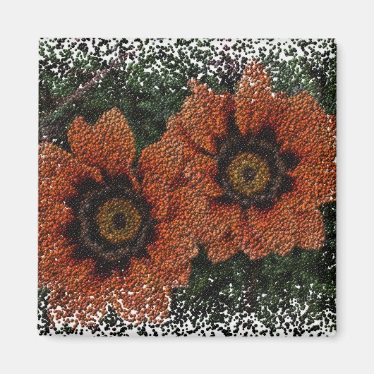 Oranje Daisy Balls Magnet (Voorkant)