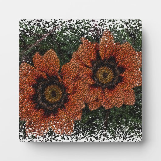 Oranje Daisy Balls Plaque Fotoplaat (Voorkant)