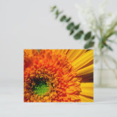 Oranje Daisy-Briefkaart Briefkaart (Staand voorkant)