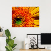 Oranje Daisy Canvas afdrukken Poster (Thuiskantoor)