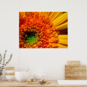 Oranje Daisy Canvas afdrukken Poster (Keuken)