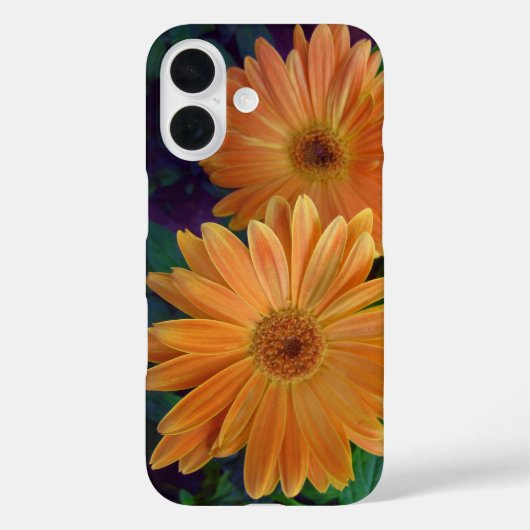 Oranje Daisy Case-Mate iPhone Case (Achterkant)