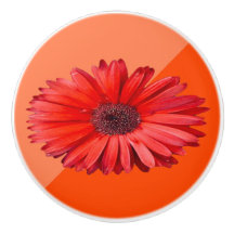 Oranje Daisy Colorblock Keramische Knop