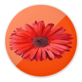 Oranje Daisy Colorblock Keramische Knop