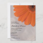 Oranje Daisy en White Satin Wedding Kaart (Voorkant)