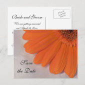 Oranje Daisy en White Satin Wedding Save the Date Aankondigingskaart (Voorkant / Achterkant)