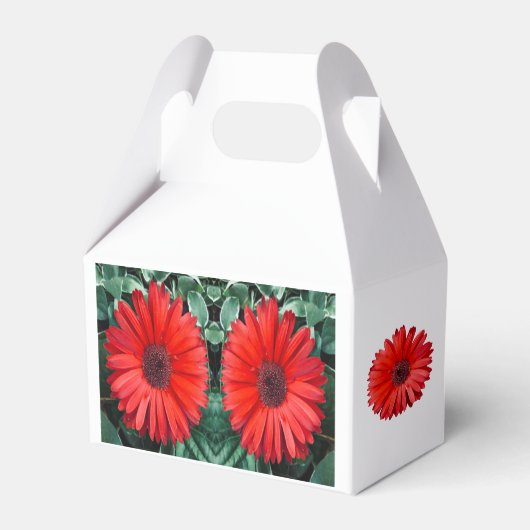 Oranje Daisy Favor Box Bedankdoosjes (Achterkant)