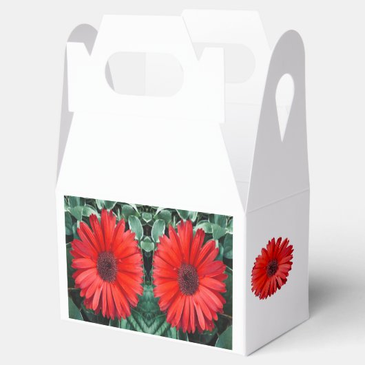 Oranje Daisy Favor Box Bedankdoosjes (Geopend)