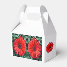 Oranje Daisy Favor Box