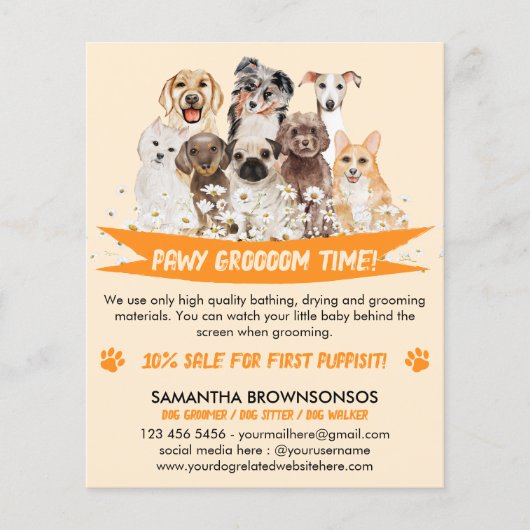 Oranje Daisy Floral Design for Dog Groomers Flyer (Voorkant)