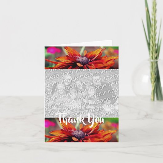 Oranje Daisy Flower Bedankt voor je fotokaart (Voorkant)