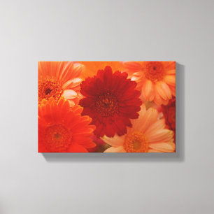 Oranje Daisy Flower Photo Canvas Wall Art afdrukke Afdruk