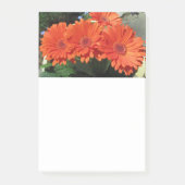 Oranje Daisy Flower Photo Post-it Notes (Voorkant)