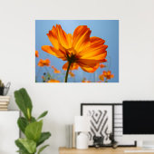 Oranje Daisy Flowers Floral Art Prints Daisies (Thuiskantoor)