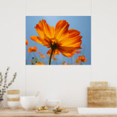 Oranje Daisy Flowers Floral Art Prints Daisies (Keuken)
