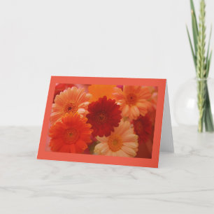 Oranje Daisy Flowers Fotogroet of Note-kaarten Kaart
