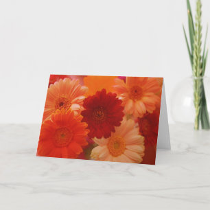 Oranje Daisy Flowers Fotonotitie of Wenskaart Kaart