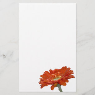 Oranje Daisy Gerbera Flower Briefpapier
