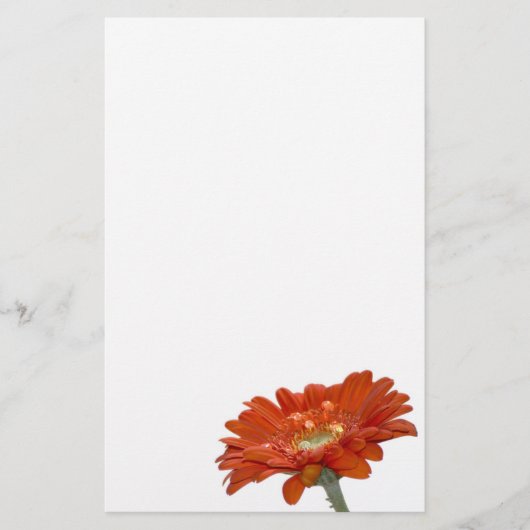 Oranje Daisy Gerbera Flower Briefpapier (Voorkant)
