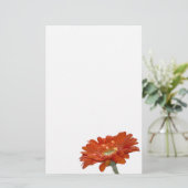 Oranje Daisy Gerbera Flower Briefpapier (Staand voorkant)