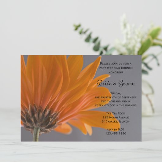 Oranje Daisy Grijze Post Bruiloft Brunch Kaart (Staand voorkant)