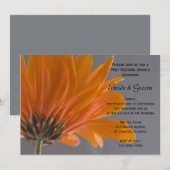 Oranje Daisy Grijze Post Bruiloft Brunch Kaart (Voorkant / Achterkant)