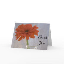 Oranje Daisy in Vase Dank u