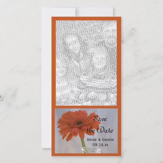 Oranje Daisy in Vase Wedding Save the Date (Voorkant)