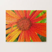Oranje Daisy Legpuzzel (Horizontaal)