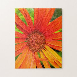Oranje Daisy Legpuzzel