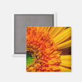 Oranje Daisy Magnet (Voorkant / Achterkant)