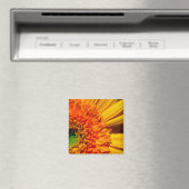 Oranje Daisy Magnet (Insitu (Vaatwasser))